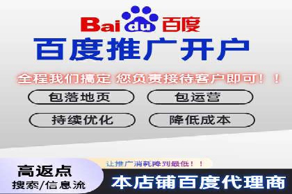 SEM服务案例：提升网站流量